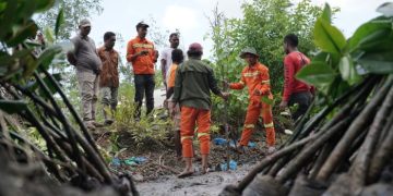 IWIP Sets New Benchmark for Industrial Environmental Stewardship with Massive Mangrove Restoration in East Halmahera