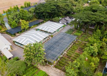 IWIP Targets Annual Reduction of 4 Million Tons of CO₂ Through Clean Energy Initiatives