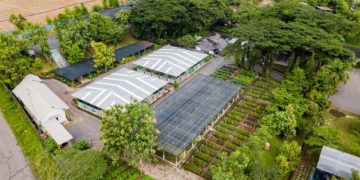 IWIP Targets Annual Reduction of 4 Million Tons of CO₂ Through Clean Energy Initiatives