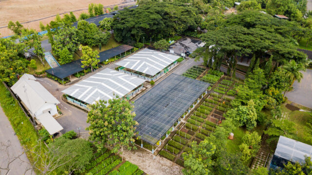 IWIP Targets Annual Reduction of 4 Million Tons of CO₂ Through Clean Energy Initiatives