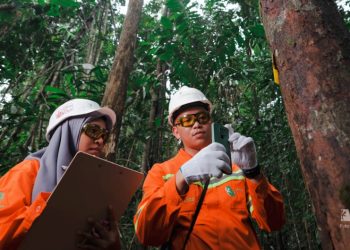 Weda Bay Nickel Completes 4,140 Hectares of Watershed Rehabilitation in North Maluku