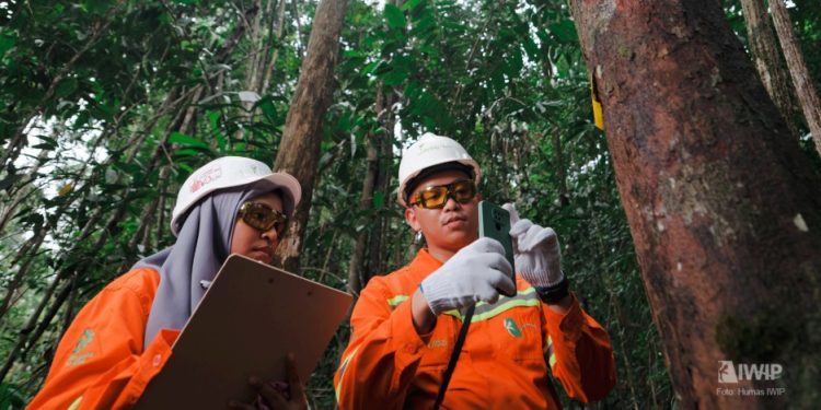 Weda Bay Nickel Completes 4,140 Hectares of Watershed Rehabilitation in North Maluku