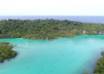 Central Halmahera Advances Marine Tourism Development to Complement Industrial Growth