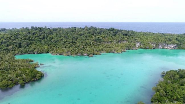 Central Halmahera Advances Marine Tourism Development to Complement Industrial Growth